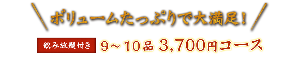 ボリュームたっぷりで大満足