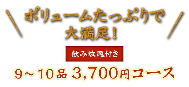 ボリュームたっぷりで大満足